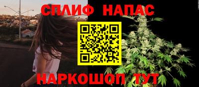 дмт Краснодар