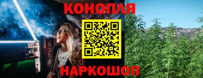 Альфа ПВП Краснознаменск