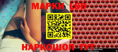 дмт Краснодар