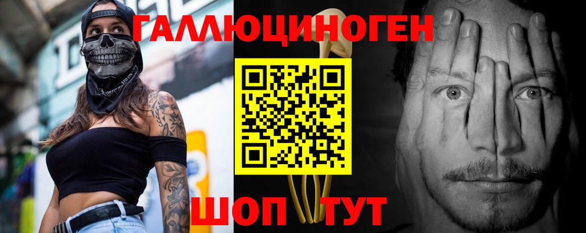 Клин  Псилоцибиновые грибы Psilocybe  магазин  наркотиков  Псилоцибиновые грибы мухоморы  Вход с VPN 